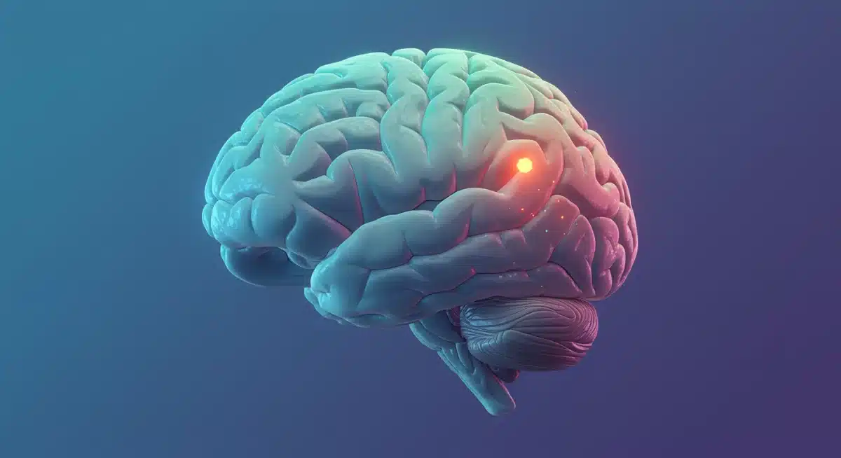 Brain scan showing reduced anxiety with mindfulness